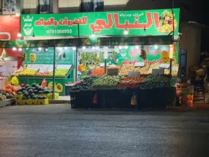 محمود النبالي 