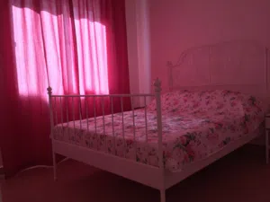 Furnished Monthly in Amman University Street