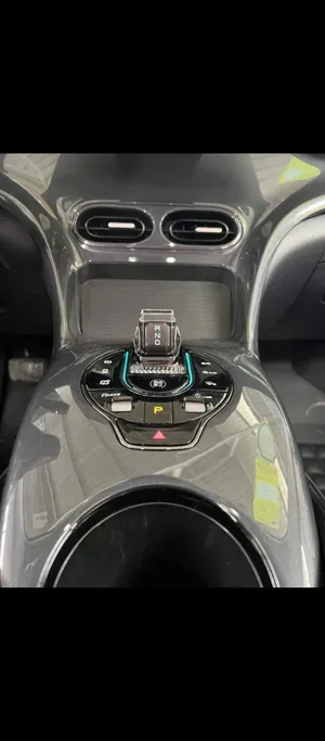 بي واي دي E2 2023