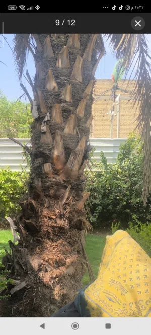 بيت زراعي مساحه 300