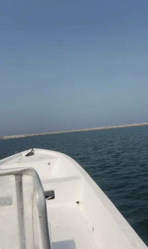 قارب ألجزيره