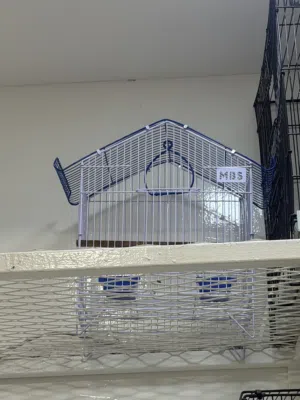 مستلزمات محل