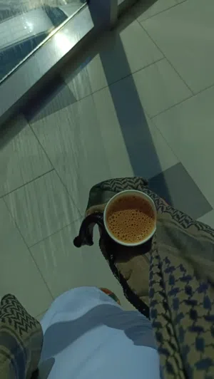 محمد المنجي 
