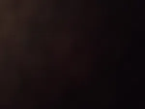 مطلوب ذكر لاتينو أليف