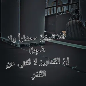 member-162895728366 