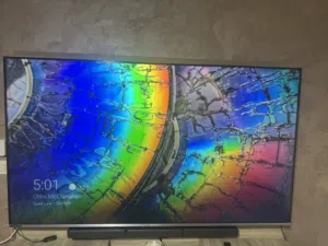 swtv-20ae-pro 65 inch