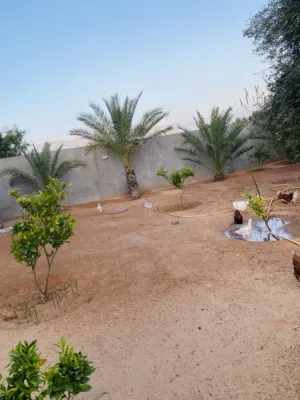 Residential Land for Sale in Tripoli Tajura