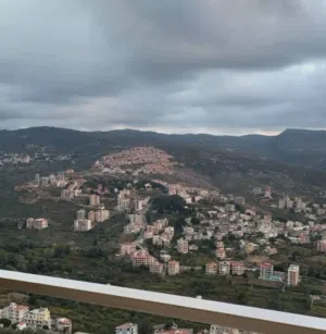 ابو علي 