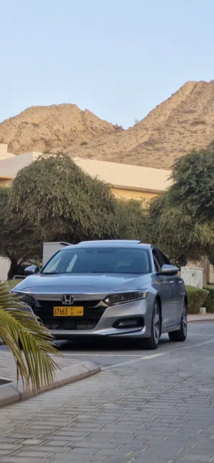 Used Honda Accord in Muscat