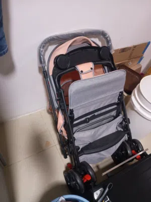 Stroller with travel system