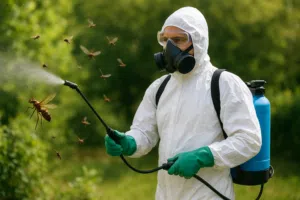 شركة مكافحة حشرات رش مبيدات بالدمام والخبر القطيف بالظهران مكافحة جميع انواع الحشرات