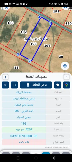 Mixed Use Land for Sale in Zarqa Dhlail
