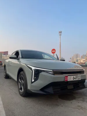 Hyundai . Accent . Daily1