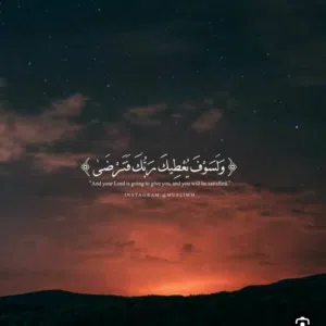 محمد خضر عماره 