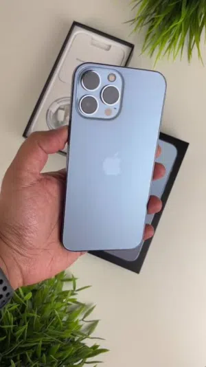 iPhone 13 Pro Max