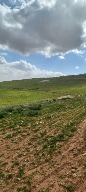 صيدة لقطة: 70 دونم (قطعتين) مطلة بجانب حرشة الزراعة في المفرق - رحاب (حوض شلح) بسعر محروق!