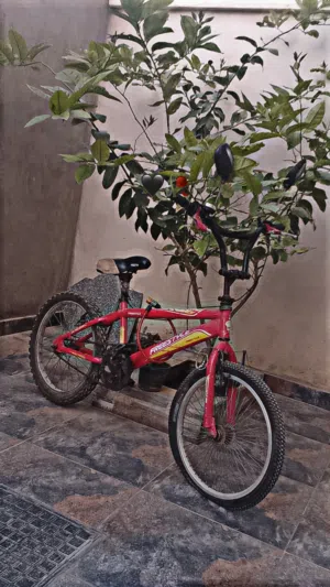 دراجه بي ام مكس