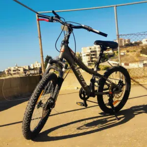 بسكليت غيارات نمرة 20