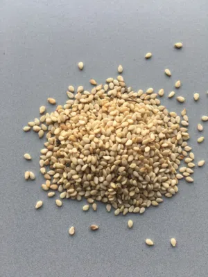 White sesame seeds available in Dubai