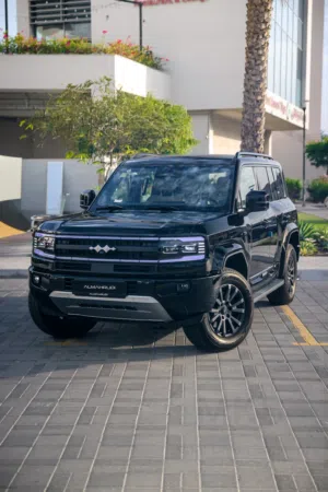 ليبرد 7 - BYD - ارقام خاصة للايجار