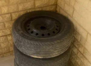 جنوط شنابر وكالة 2021