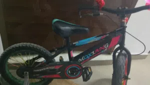 بسكليت جنط 16