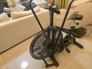 assault air bike