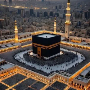 أنس أبوزيد للمقاولات العامه 