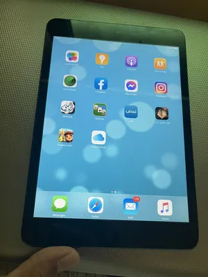 Apple iPad Other in Al Karak