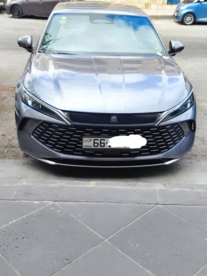 Qin L 2025