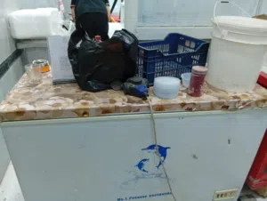 مجمده لبيع