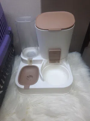 مستلزمات قطط