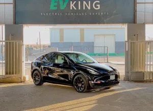 Tesla Model Y Long Range 2023