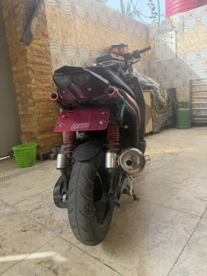 سكنس جبلي للبيع