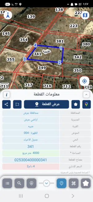 ارض للبيع جرش عنيبه