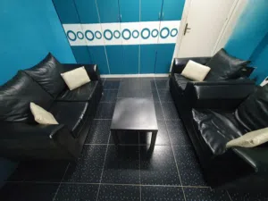 Used Leather Sofa Set with Leather Pillows & 2 IKEA Tables