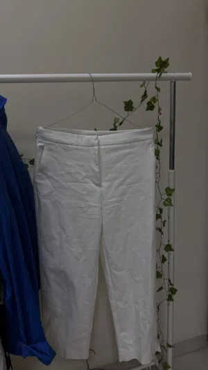 Size M Zara Pants