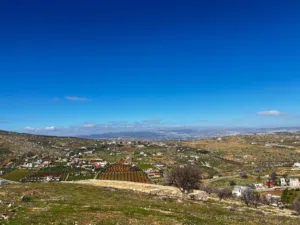 Farm Land for Sale in Zarqa Sarout