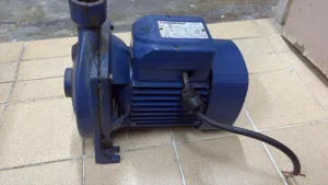 دينمو ماي إيطالي