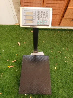 digital electronic weights