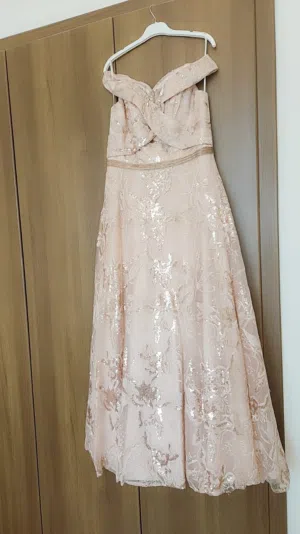 Rose gold dress