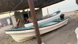 قارب 18 للبيع