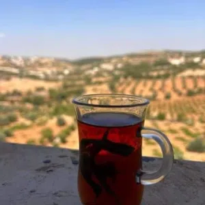 خالد