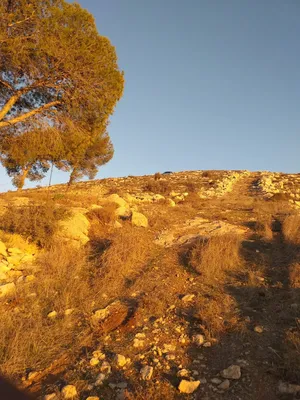 ‏سكنية ‏.‏ 700 م٢ ‏.‏ المالك‏2