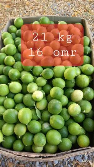 fresh Omani lemon. 21 kg