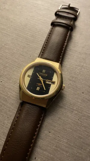 Citizen vintage 21 jewels