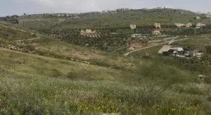 Residential Land for Sale in Jerash Marsa'