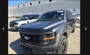 Ford F150 v8 5.0 2024