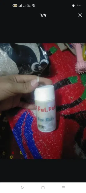 اكسسوارات كلاب