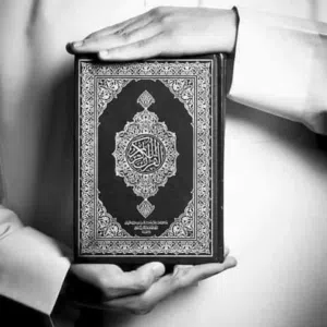 عبدالرحمن مفلح 